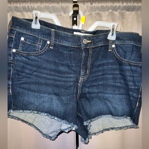 Torrid short shorts